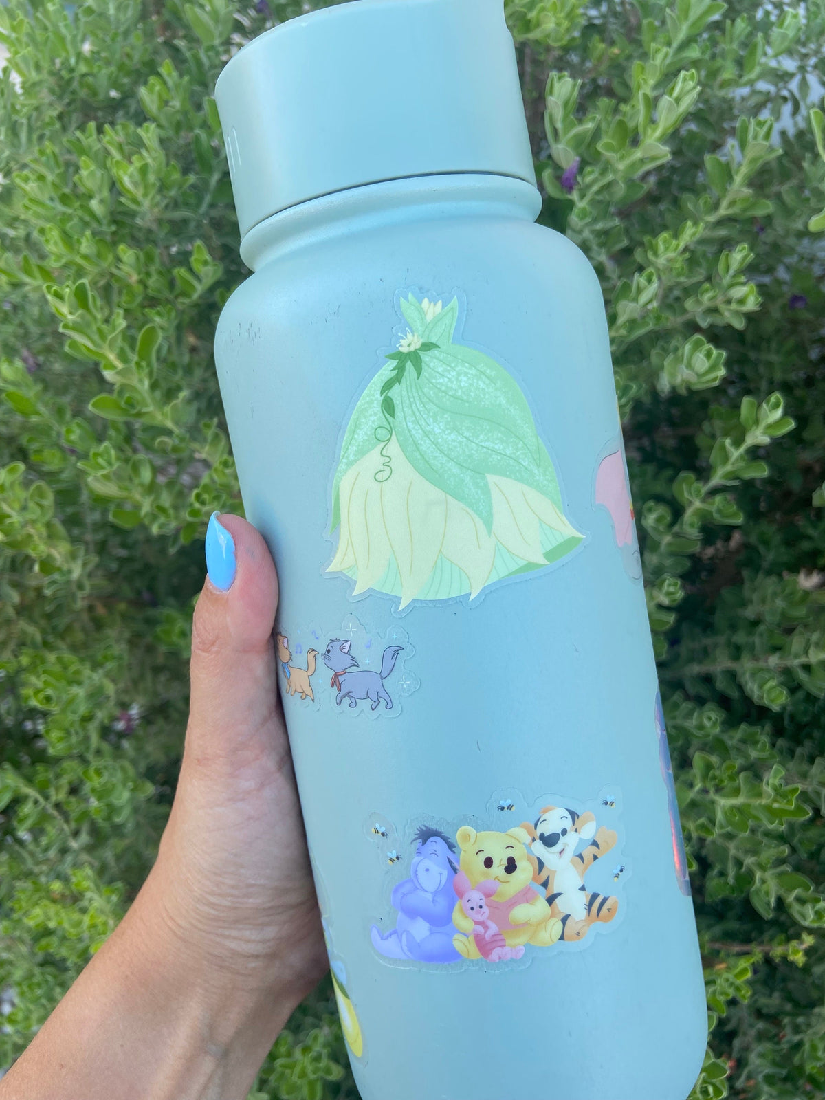 Tiana Dress, Princess Disney Transparent Sticker