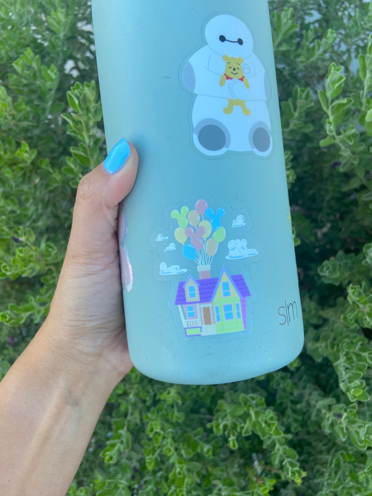 Up House Disney Transparent Sticker